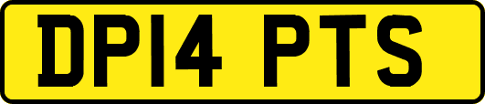DP14PTS