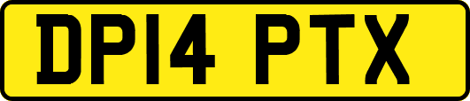 DP14PTX