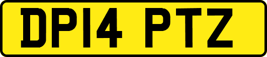 DP14PTZ