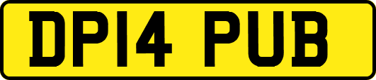 DP14PUB