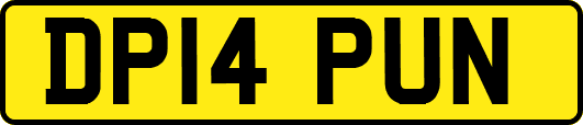 DP14PUN