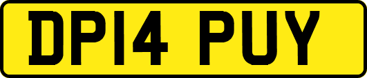 DP14PUY