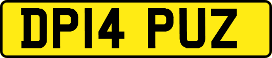 DP14PUZ