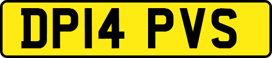 DP14PVS