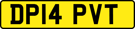 DP14PVT