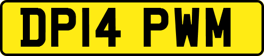 DP14PWM