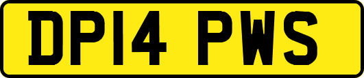 DP14PWS