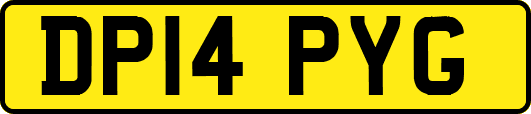 DP14PYG