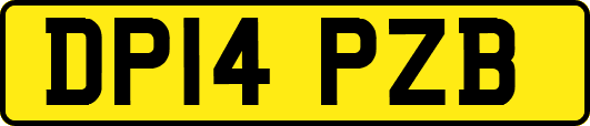 DP14PZB