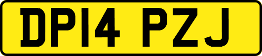 DP14PZJ