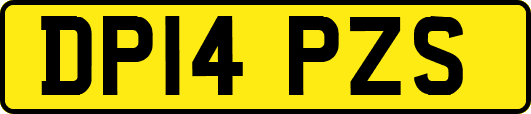 DP14PZS