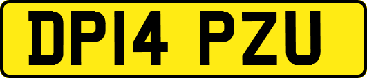 DP14PZU