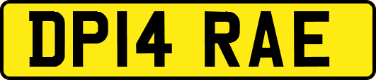 DP14RAE
