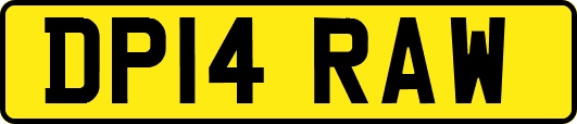 DP14RAW