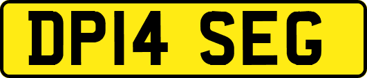 DP14SEG