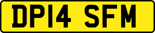 DP14SFM