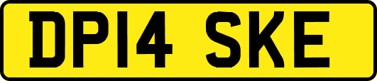 DP14SKE