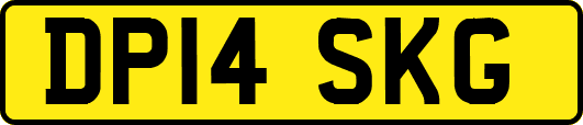 DP14SKG