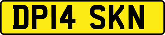 DP14SKN
