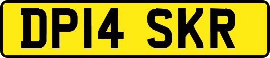 DP14SKR