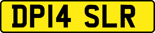 DP14SLR