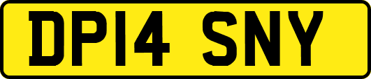 DP14SNY