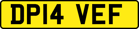 DP14VEF