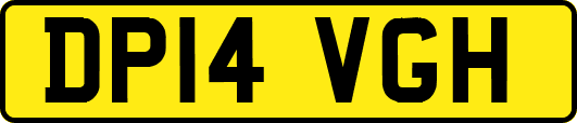 DP14VGH