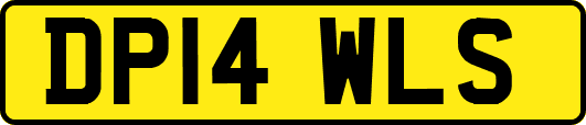 DP14WLS