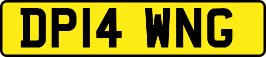 DP14WNG