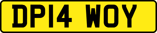 DP14WOY