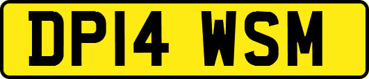 DP14WSM