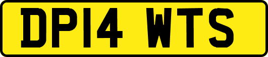 DP14WTS