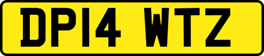 DP14WTZ