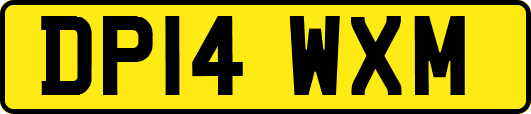 DP14WXM