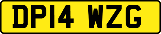DP14WZG