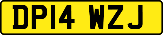 DP14WZJ