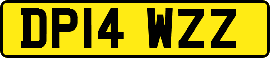 DP14WZZ