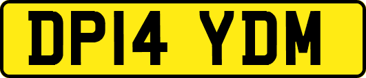 DP14YDM