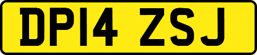 DP14ZSJ