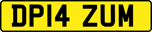 DP14ZUM