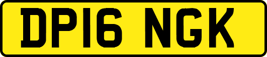 DP16NGK