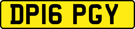 DP16PGY