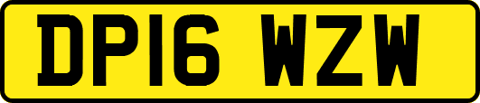 DP16WZW