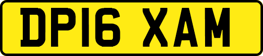 DP16XAM