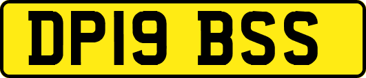 DP19BSS
