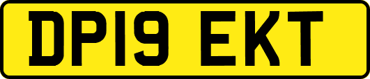 DP19EKT