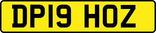 DP19HOZ