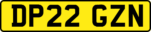 DP22GZN