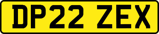 DP22ZEX